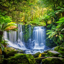 Load image into Gallery viewer, Rainforest Blossoms Scent Jar Candle for Stress Anxiety and Depression
